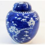 A c.1900 Chinese porcelain ginger jar with prunus