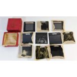 Ten lantern slides including wildlife