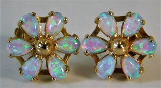 A pair of yellow metal opal earrings 2.1g