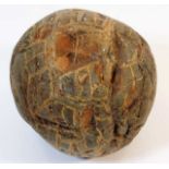 A fossilised dinosaur egg possibly from a Hadrosau