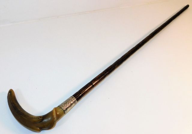 A gents walking cane with horn handle & silver col
