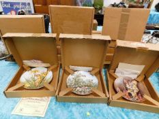 Twelve boxed Festival of Flower Fairy plates