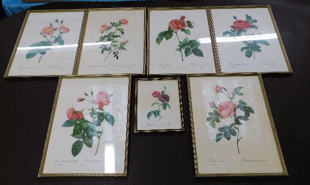 Seven framed Redoute floral prints
