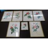 Seven framed Redoute floral prints