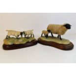 Two Border Fine Arts Scotland sheep group - 1972 J