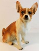 A Japanese porcelain life size chihuahua dog model