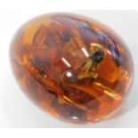 A polished amber egg with bug 69.8g 56mm high £30-