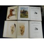 Cassells New Book of the Horse 1911, all a/f