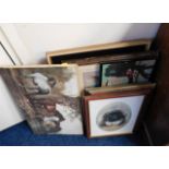 A quantity of prints & pictures, a number of equin