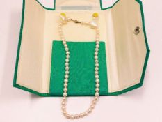 A 14ct gold mounted freshwater pearl necklace 17in