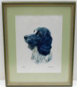 A framed watercolour of spaniel dog called Piran b