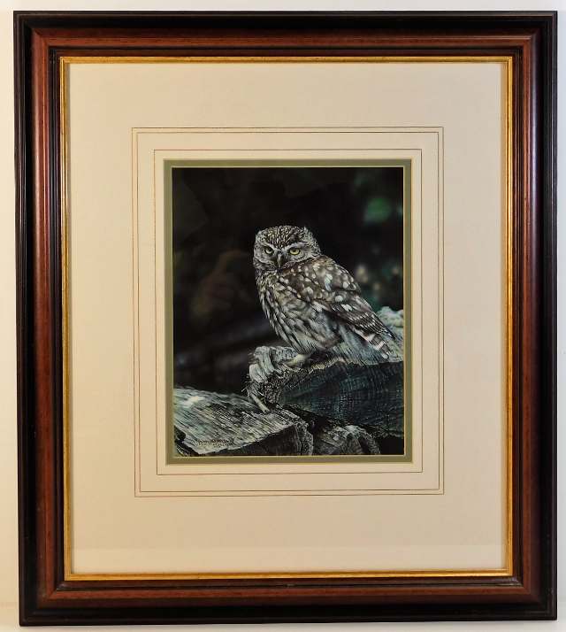 A signed framed original watercolour of Little Owl