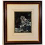 A signed framed original watercolour of Little Owl