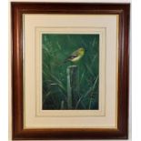 A signed framed original watercolour of Yellow Wag