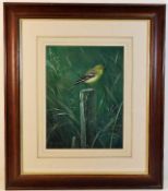 A signed framed original watercolour of Yellow Wag