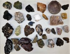 A quantity of mixed minerals & one fossil
