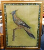 A large Chinese framed print on canvas of jay type