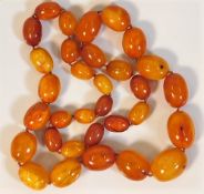 An impressively proportioned antique butterscotch amber beaded necklace 182.7g 34in long, largest be