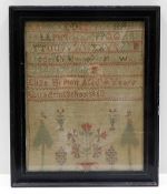 A framed early/mid Victorian sampler by Eliza Hept