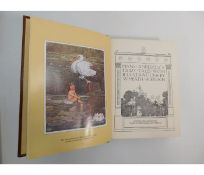 Book: A Hans Anderson Fairy Tale book with Illustr