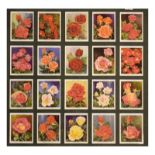 Cigarette Cards - Three framed collections to include; Wills Garden Flowers New Varieties 1939 (3)