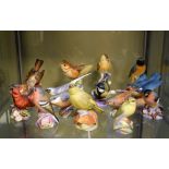 Collection of Royal Worcester bisque bird ornaments (15)