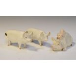 Three Beswick pig figurines, Piggy Back 2746, Wall Queen 1452A, and Ch.Wall Champion Boy 53,