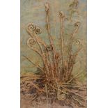 Mabel Frances Wickham RA - Watercolour - 'Fern Unfolding', 64cm x 34cm, in an oak frame, together