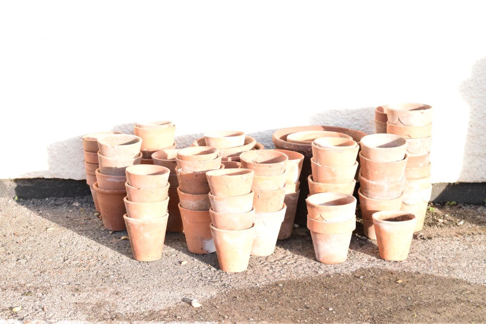 Large quantity of terracotta garden flower pots
