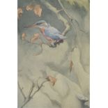 Richard Barrett Talbot Kelly (1896-1971) - Watercolour - 'Kingfisher', monogrammed lower left, 27.