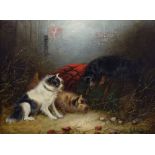 Armfield, - 19th Century oil on canvas - Stable interior with three terriers beside an upturned