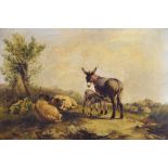 19th Century English School - Oil on canvas - Donkey with foal and sheep grazing, 37cm x 55cm, in an