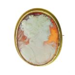 Victorian shell cameo brooch, carved as a classical female in profile, the plain mount tagged '15c',