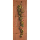 Deborah Jones - Oil on board - Still life of hanging figs with insects, signed lower right, 75cm x