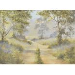Mary Shaw - Oil on canvas - Summer path, signed lower left, framed, 28.5cm x 38.5cm
