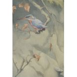 Richard Barrett Talbot Kelly (1896-1971) - Watercolour - 'Kingfisher', monogrammed lower left,