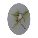 David Andrews - Watercolour - Oval study of a longtail titmouse, signed, and Jan Bowles -