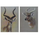 Spencer Roberts (1920-1997) - Pair of pastel and body-colour - 'The Greatest Kudu', and 'Sitatunga',
