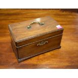 Georgian mahogany rectangular tea caddy, the hinged cover with brass swan neck handle, opening to