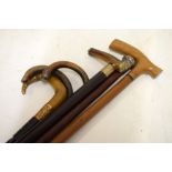 Six assorted walking sticks and canes having various silver and horn handles, etc