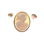 Yellow metal shell cameo brooch stamped 9ct, together with a similar pair of 9ct gold ear studs, 8.