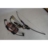 Archery - Three bows and a number of arrows