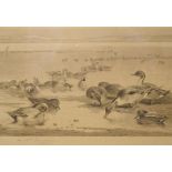 Archibald Thorburn - Three signed monochrome prints of wild fowl published by Baird-Garter, all