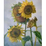 Cecile Crombeke (1921-2002) - Oil on board - Sunflowers, signed lower left, 74.5cm x 61.5cm, in a