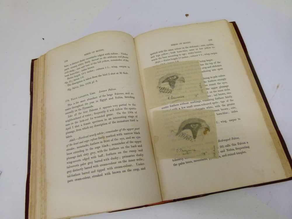 Books - Shelley, G.E., FGS, FZS, etc - A Handbook of the Birds of Egypt, John Van Voorst, London - Image 8 of 10