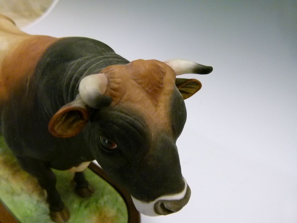 Royal Worcester model 1961 bone china 'Jersey Cow', together with model 1965 'Jersey Bull', both - Image 12 of 13