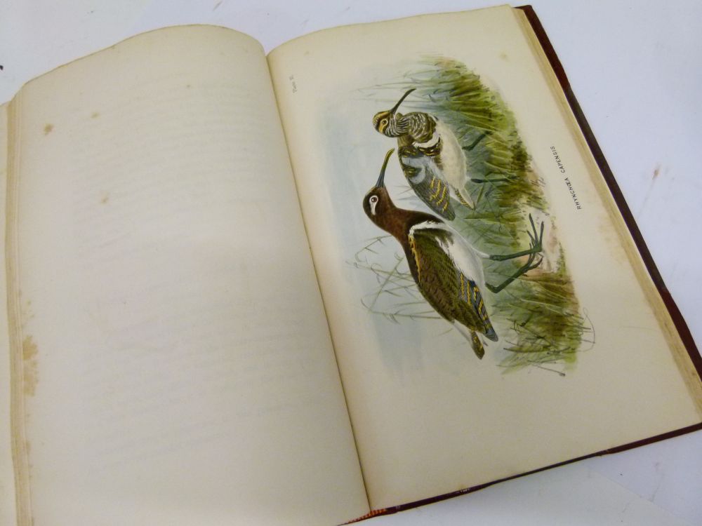 Books - Shelley, G.E., FGS, FZS, etc - A Handbook of the Birds of Egypt, John Van Voorst, London - Image 9 of 10