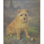 20th Century English School - Portrait of Tim, a terrier, indistinctly signed and dated 1925 lower