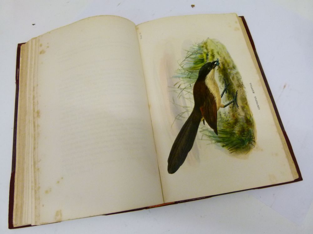 Books - Shelley, G.E., FGS, FZS, etc - A Handbook of the Birds of Egypt, John Van Voorst, London - Image 7 of 10