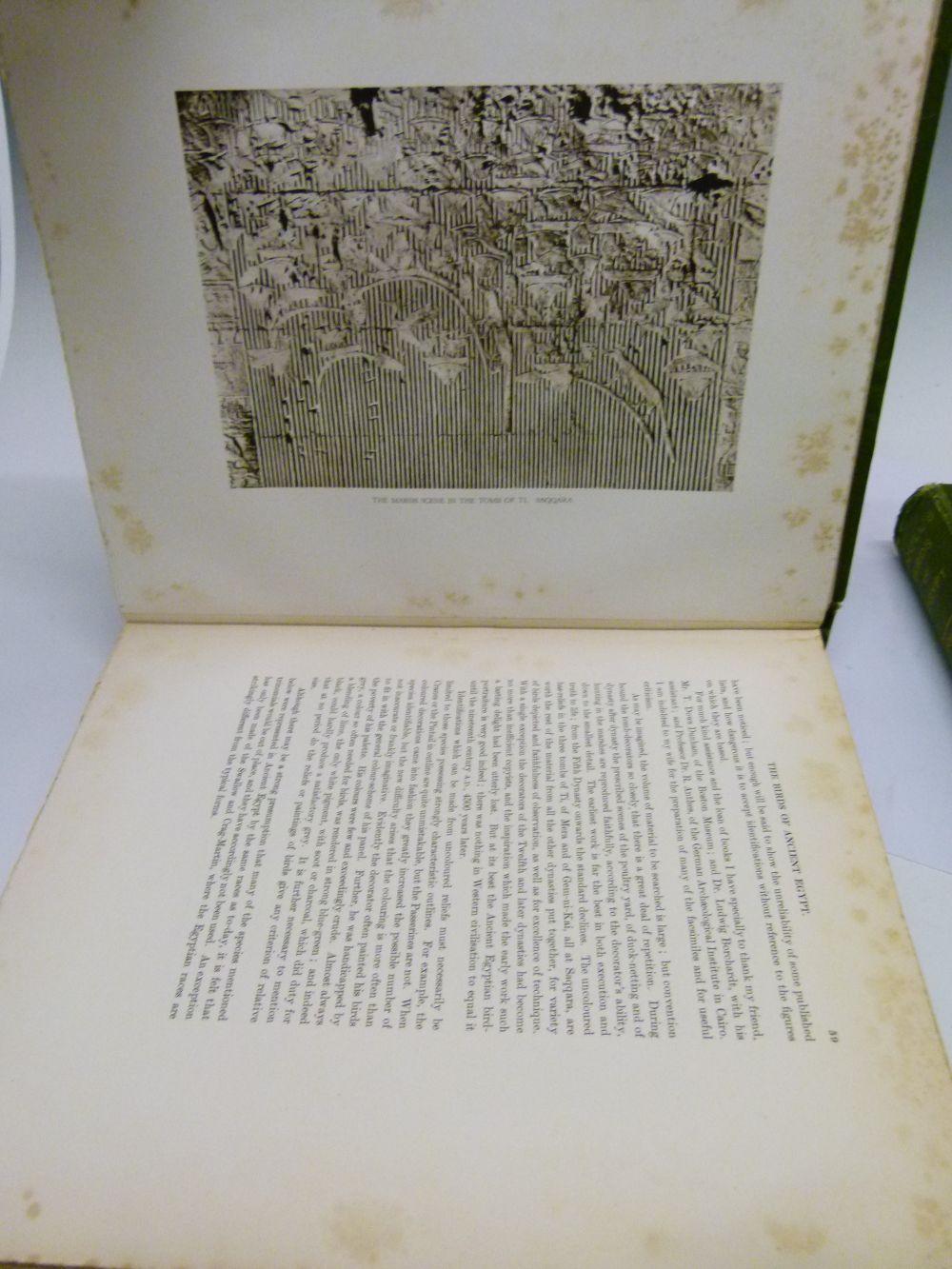 Books - Meinertzhagen, Colonel Robert, DSO - Nicoll's Birds of Egypt, Hugh Rees Ltd, London 1930, - Image 8 of 8